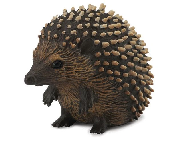 Hedgehog