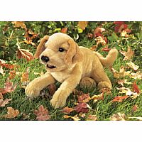 Yellow Lab Puppet