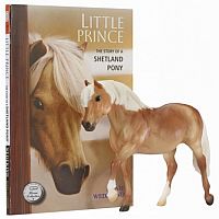 Little Prince Book and Model Set
