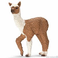 Alpaca Foal