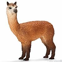 Alpaca Stallion