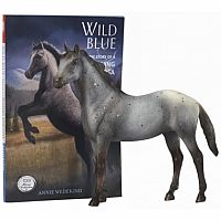 Wild Blue Book and Model Set