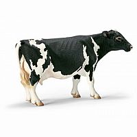 Holstein Cow
