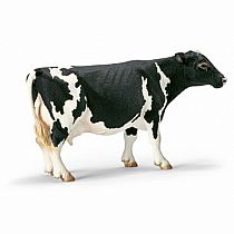 Holstein Cow