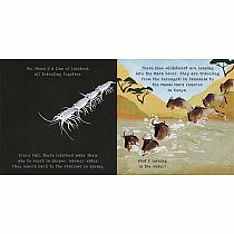 SHINE-A-LIGHT ANIMAL JOURNEYS  - Carron Brown, Carrie May