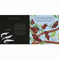 SHINE-A-LIGHT ANIMAL JOURNEYS  - Carron Brown, Carrie May