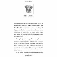 Survivors: The Gathering Darkness #3: Into the Shadows---ERIN HUNTER  Laszlo Kubinyi,