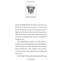 Survivors: The Gathering Darkness #3: Into the Shadows---ERIN HUNTER  Laszlo Kubinyi,