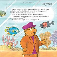 BERENSTAIN BEARS UNDER THE SEA