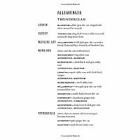 Warriors #2: Fire and Ice---ERIN HUNTER  Dave Stevenson