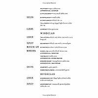 Warriors #2: Fire and Ice---ERIN HUNTER  Dave Stevenson