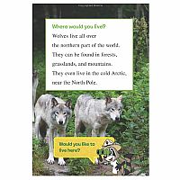 RANGER RICK WISH I WERE WOLF  - Jennifer Bove