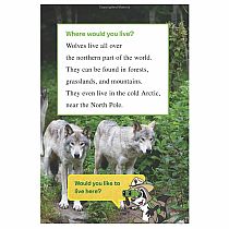 RANGER RICK WISH I WERE WOLF  - Jennifer Bove