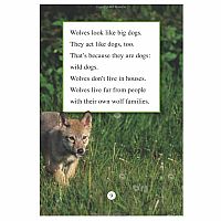 RANGER RICK WISH I WERE WOLF  - Jennifer Bove