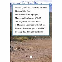 RANGER RICK WISH I WERE LLAMA  - Jennifer Bove