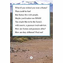 RANGER RICK WISH I WERE LLAMA  - Jennifer Bove