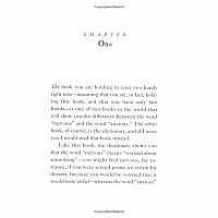 ****SALE PRICE--REG $13.99**** Series of Unfortunate Events 6 Ersatz Elevator---Lemony Snicket  Brett Helquist