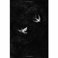 The Apothecary---- MAILE MELOY