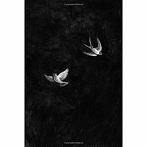 The Apothecary---- MAILE MELOY