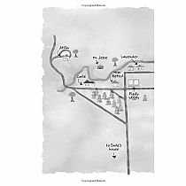 Three Times Lucky John Newbery Honor Book---SHEILA TURNAGE