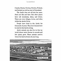 Polar Bears and the Arctic: A Nonfiction Companion to Magic Tree House #12: Polar Bears Past Bedtime----Mary Pope Osborne  Sal M