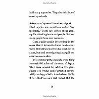 Sea Monsters: A Nonfiction Companion to Magic Tree House Merlin Mission #11: Dark Day in the Deep Sea----Mary Pope Osborne  Sal 