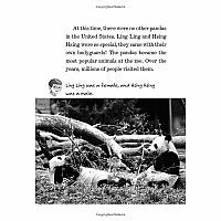 Pandas and Other Endangered Species: A Nonfiction Companion to Magic Tree House Merlin Mission #20: A Perfect Time for Pandas---