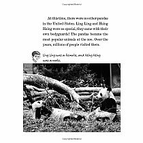 Pandas and Other Endangered Species: A Nonfiction Companion to Magic Tree House Merlin Mission #20: A Perfect Time for Pandas---