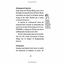 Pandas and Other Endangered Species: A Nonfiction Companion to Magic Tree House Merlin Mission #20: A Perfect Time for Pandas---