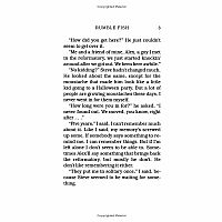 RUMBLE FISH---S. E. Hinton