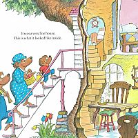 The Berenstain Bears' New Baby