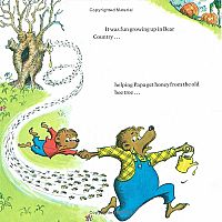 The Berenstain Bears' New Baby