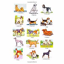 Favorite Dogs Coloring Book