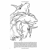 Unicorns Coloring Book
