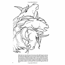 Unicorns Coloring Book