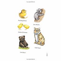 DOVER BABY ANIMALS STICKER BOOK- Lisa Bonforte