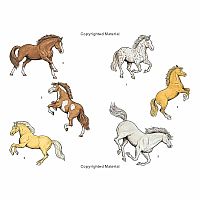 Horses Tattoos