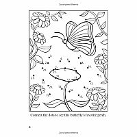 Butterfly Fun Activity Book
