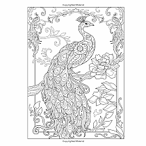 Creative Haven Birds and Blossoms Coloring Book