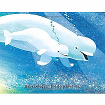 Baby Beluga --DRAGONFLY ASHLEY WOLFF