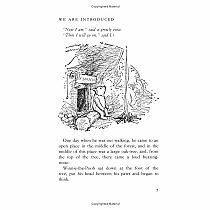 Winnie-the-Pooh---A.A MILNE  ERNEST H SHEPARD
