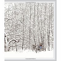 Stopping by Woods on a Snowy Evening    -  ROBERT FROST SUSAN JEFFERS