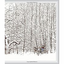 Stopping by Woods on a Snowy Evening    -  ROBERT FROST SUSAN JEFFERS