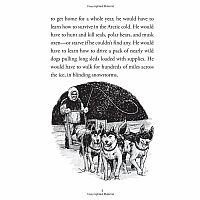 WHERE IS THE NORTH POLE--Megan Stine  Robert Squier