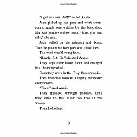 Pirates Past Noon---Mary Pope Osborne  Sal Murdocca