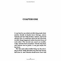 ****SALE PRICE--REG  $6.99****YOLONDA'S GENIUS John Newbery Honor Book---CAROL FENNER