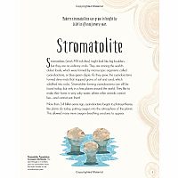 DINOISAURS  PREHISTORIC LIFE  -Anusuya Chinsamy-Turan  Angela Rizza  Daniel Long