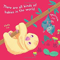 Indestructibles: Baby Animals   --Amy Pixton  STEPHAN LOMP