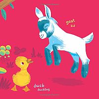 Indestructibles: Baby Animals   --Amy Pixton  STEPHAN LOMP