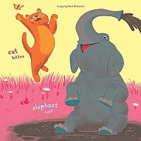 Indestructibles: Baby Animals   --Amy Pixton  STEPHAN LOMP